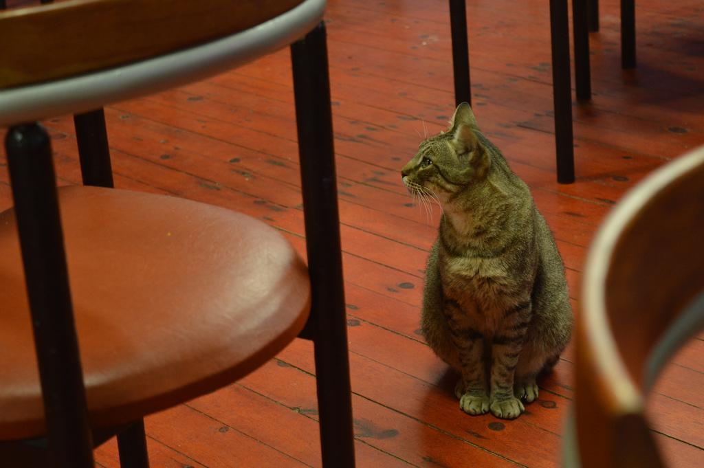 Baladinos Apartments Gerani  エクステリア 写真